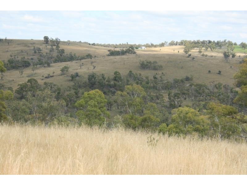 “Tamban” via Carlaminda Road, Cooma NSW 2630