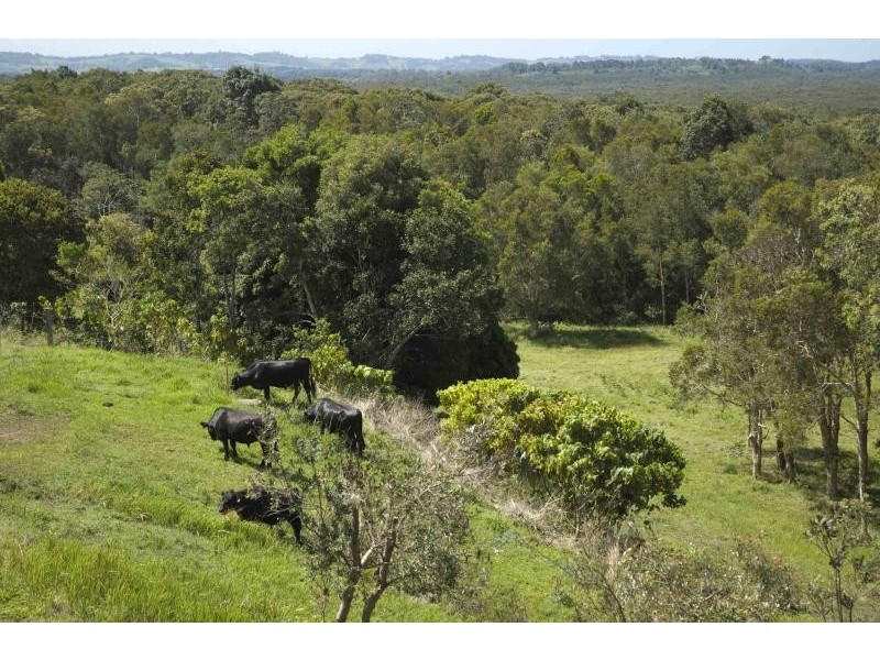 66B Fig Tree Hill Drive, Lennox Head NSW 2478