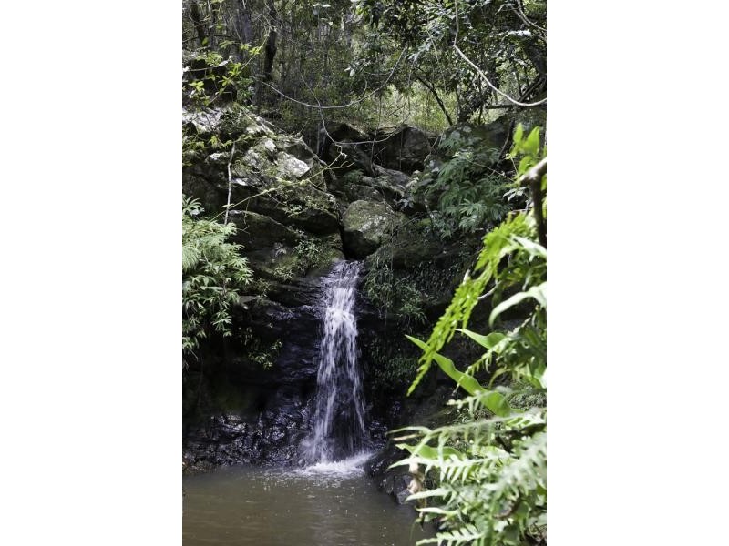 Lot 3 Natural Lane, Broken Head NSW 2481