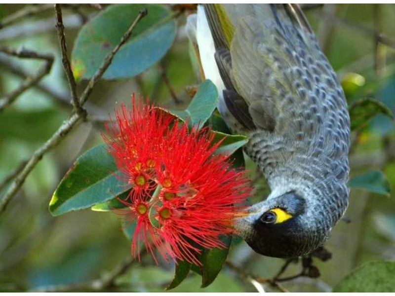 155 – 157 Broken Head Road, Suffolk Park NSW 2481