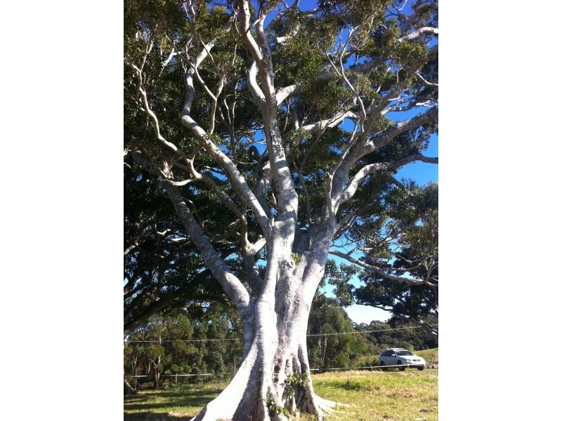 591 Broken Head Road, Broken Head NSW 2481