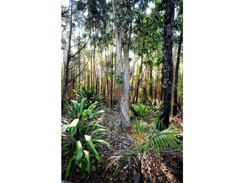 144 Broken Head Road, Suffolk Park NSW 2481