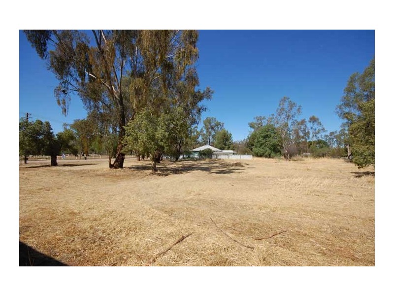 29 Norman St, The Rock NSW 2655