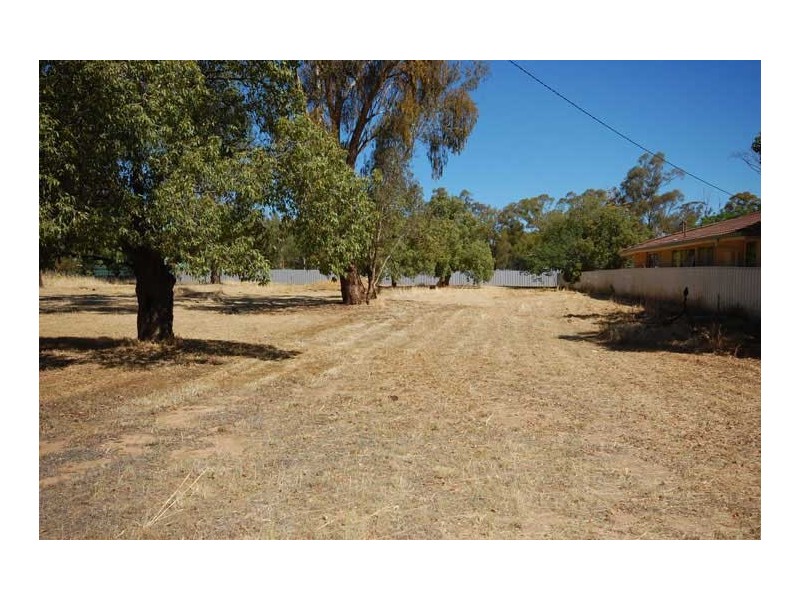 31 Norman St, The Rock NSW 2655
