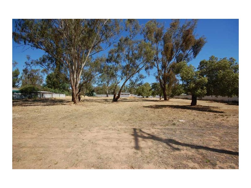 31 Norman St, The Rock NSW 2655