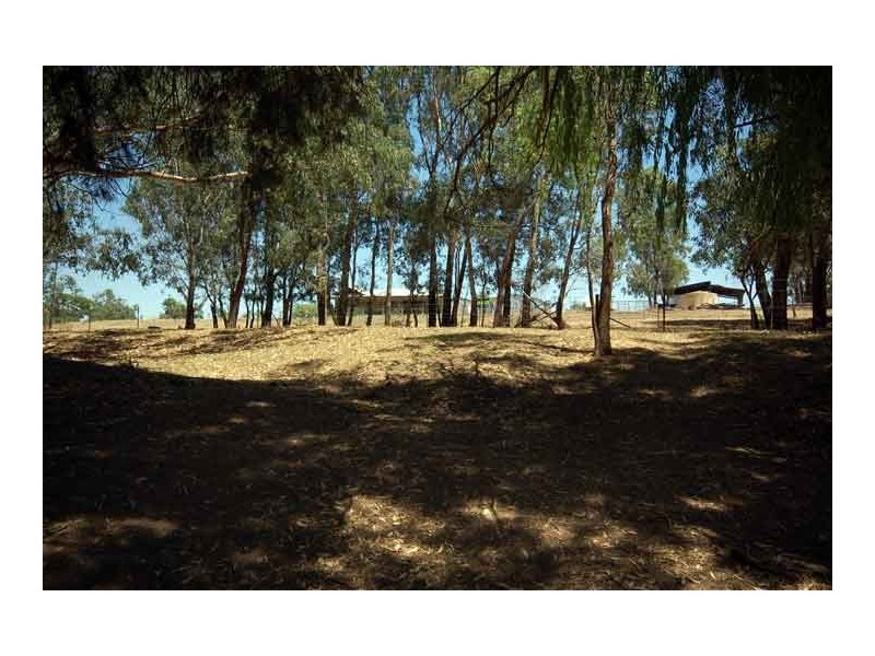 1 “Lumeah” River Road, Wantabadgery NSW 2650