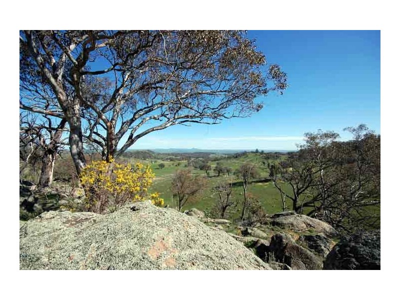 33 Gelston Park Rd, Wagga Wagga NSW 2650