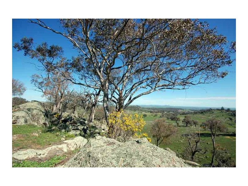 33 Gelston Park Rd, Wagga Wagga NSW 2650