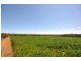 Lots 1,2,4,6 Aerodrome/Roedigers Lne Junee, Junee NSW 2663