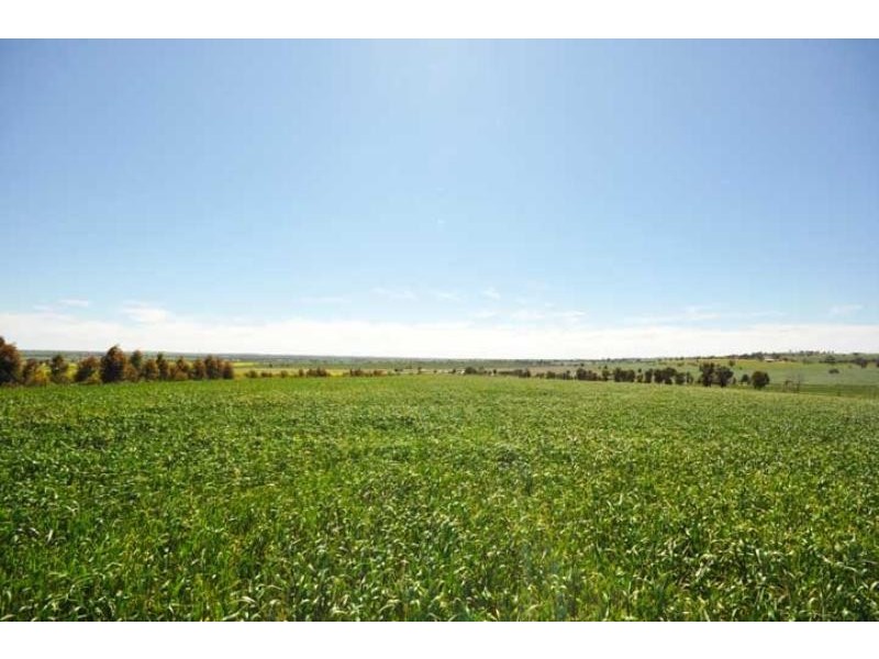 Lots 1,2,4,6 Aerodrome/Roedigers Lne Junee, Junee NSW 2663