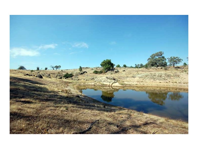 123 Gleston Heights Rd, Wagga Wagga NSW 2650