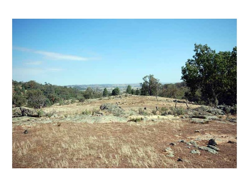 123 Gleston Heights Rd, Wagga Wagga NSW 2650