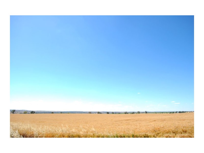 11&12 Olympic Way, Junee NSW 2663