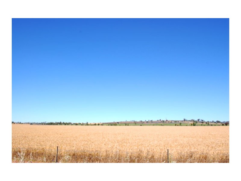 11&12 Olympic Way, Junee NSW 2663