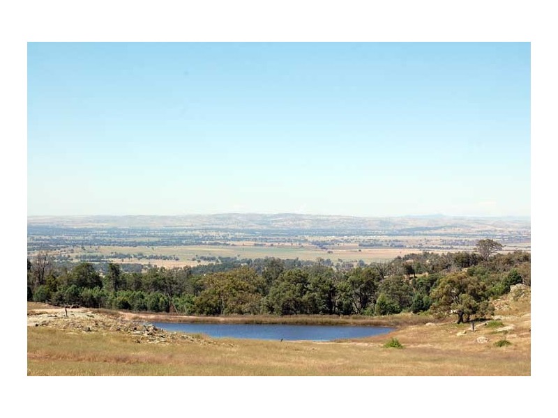 Lot 35 Gelston Park Rd, Wagga Wagga NSW 2650