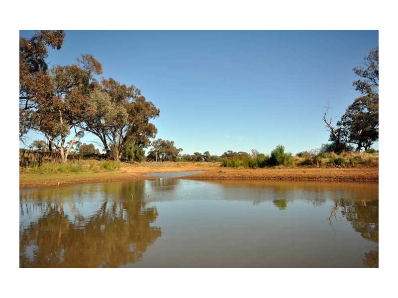 251 Fox Lane, Marrar NSW 2652