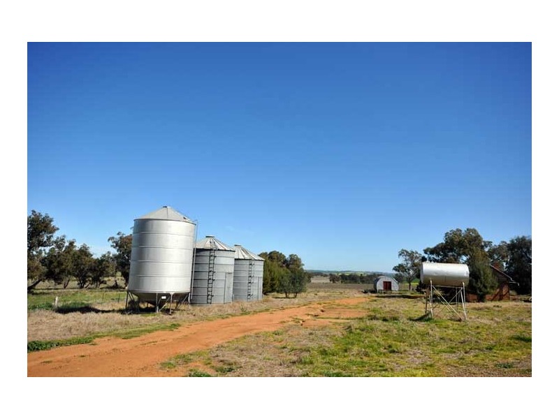 251 Fox Lane, Marrar NSW 2652