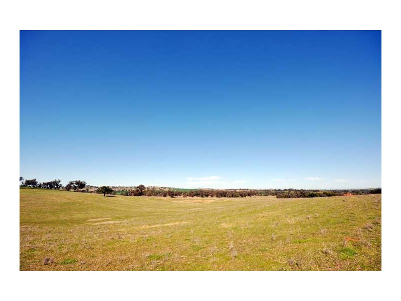 251 Fox Lane, Marrar NSW 2652