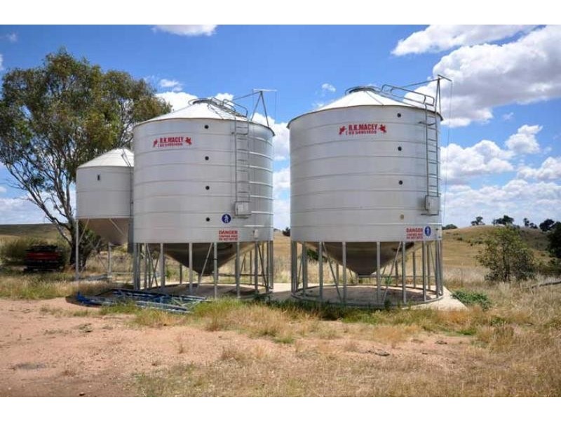 841 Big Springs Rd, Big Springs NSW 2650