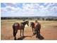 841 Big Springs Rd, Big Springs NSW 2650
