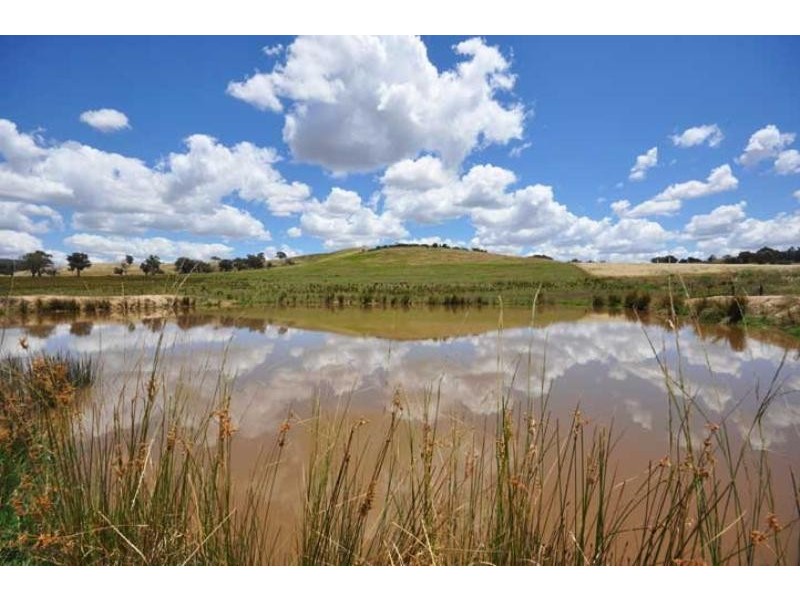 841 Big Springs Rd, Big Springs NSW 2650