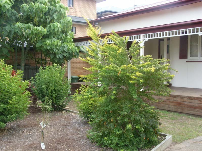 16 Wyllie Street, Redcliffe QLD 4020