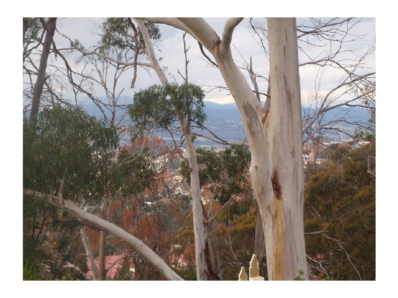 57 New World Avenue, Trevallyn TAS 7250