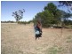 Bunbartha VIC 3634