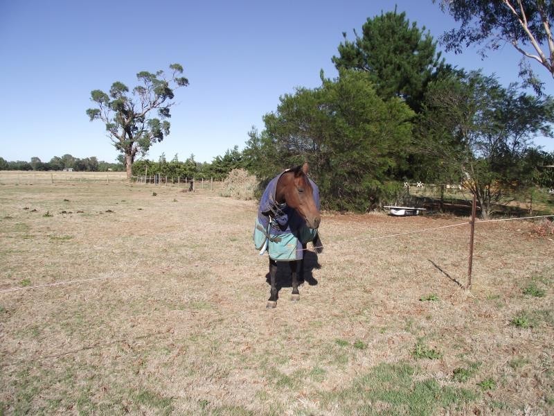 Bunbartha VIC 3634