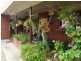 Nagambie VIC 3608