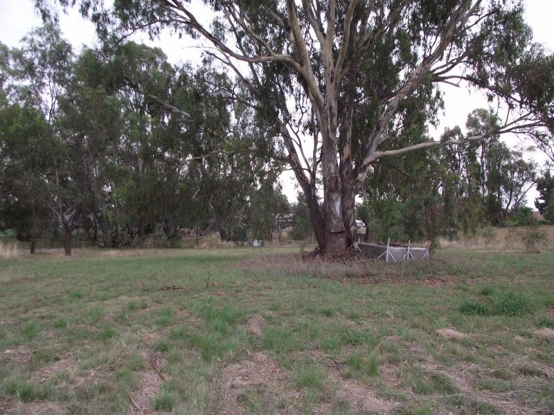 Nagambie VIC 3608
