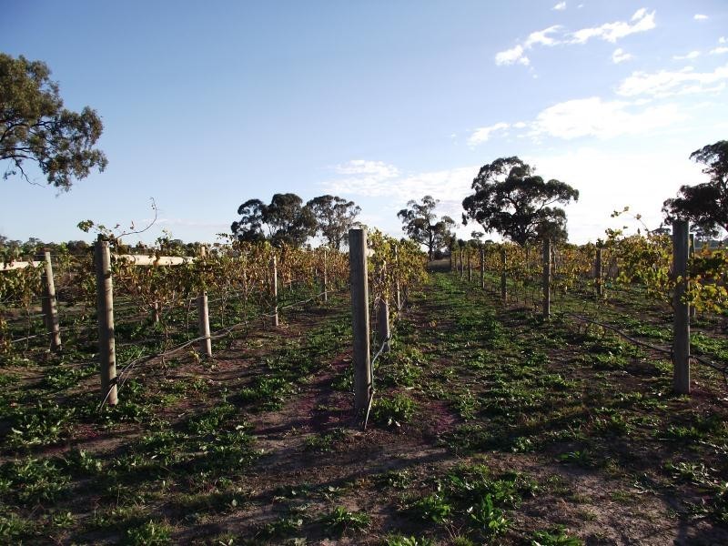 Arcadia South VIC 3631