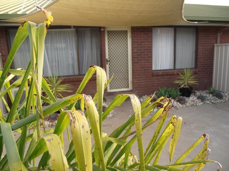 Mooroopna VIC 3629