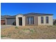 55 Longtree Drive, Melton West VIC 3337