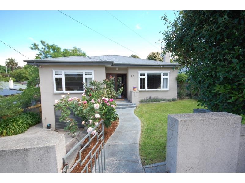 1A Clementina Street, Newstead TAS 7250