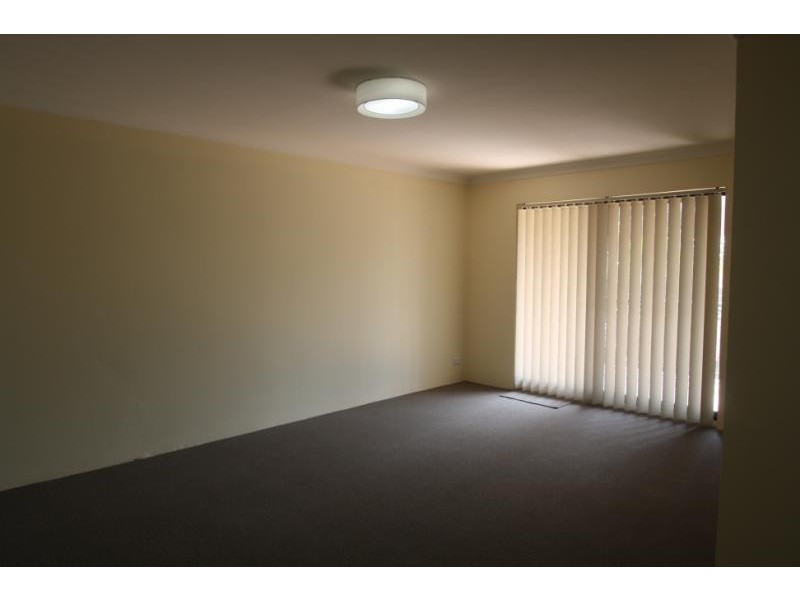 17/187 Cleveland Street, Redfern NSW 2016