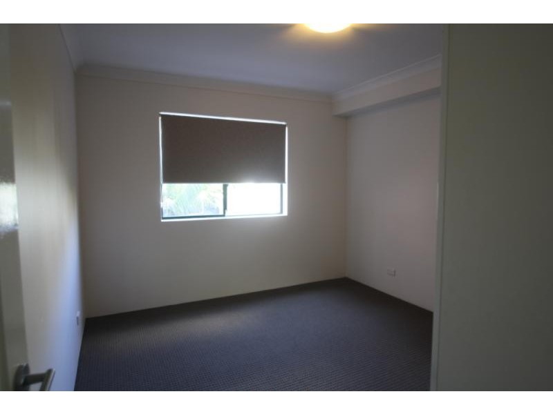 17/187 Cleveland Street, Redfern NSW 2016