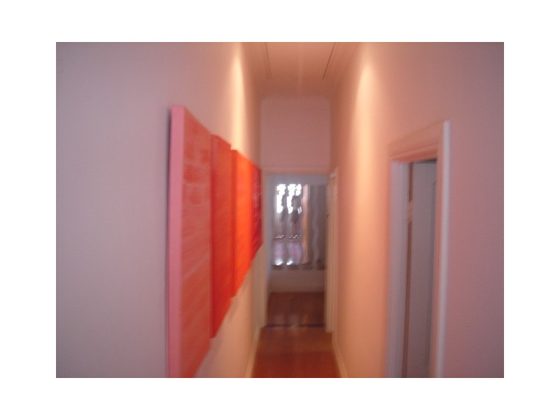 5 Jarrett Street, Leichhardt NSW 2040