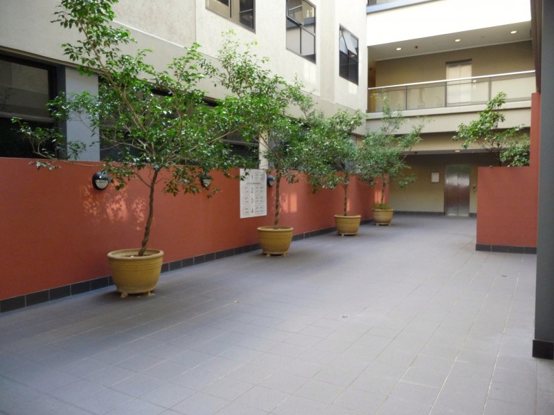 118/23 Corunna Road, Stanmore NSW 2048