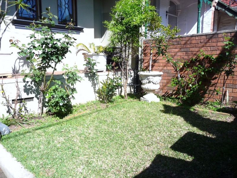 97 Trafalgar Street, Stanmore NSW 2048