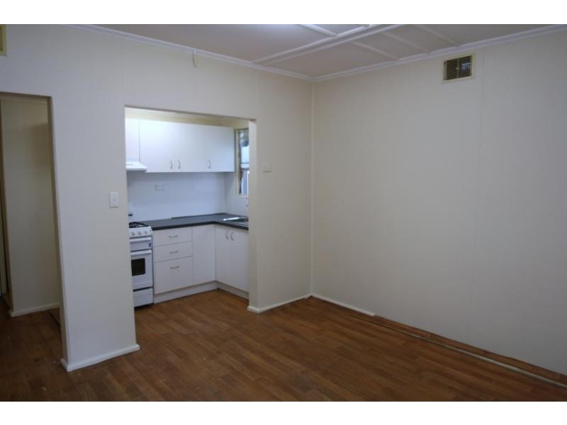 118 Silver Street, St Peters NSW 2044