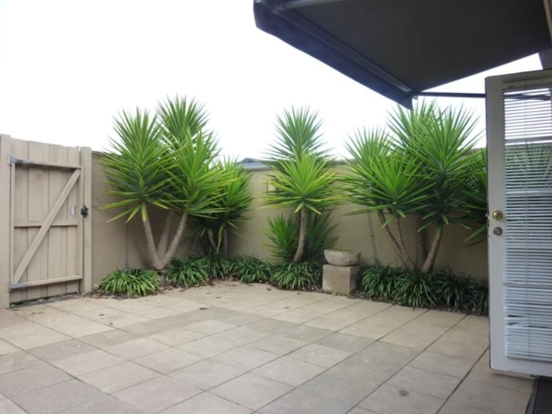 Launceston TAS 7250