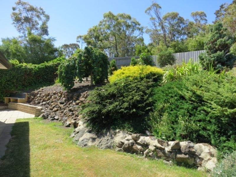 Prospect TAS 7250