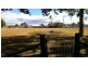 Laidley QLD 4341