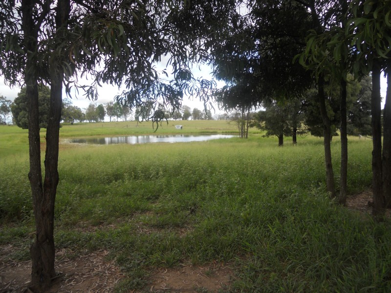 Tarampa QLD 4311