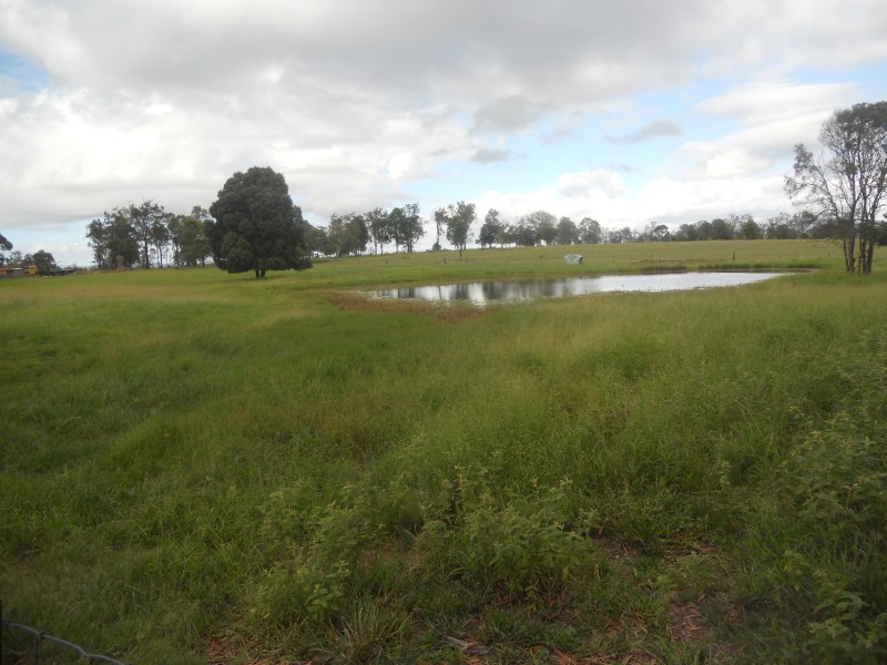 Tarampa QLD 4311