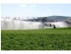 Laidley QLD 4341