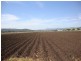 Laidley QLD 4341
