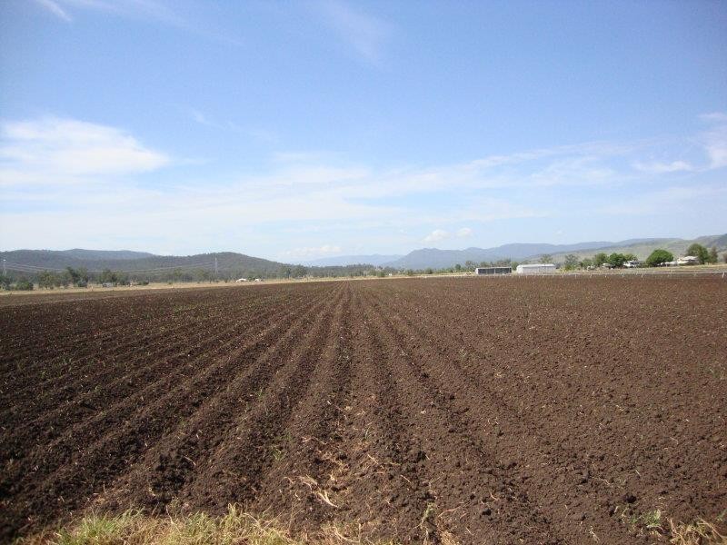 Laidley QLD 4341