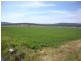 Laidley QLD 4341